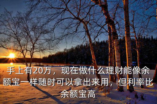 手上有20萬，現(xiàn)在做什么理財(cái)能像余額寶一樣隨時(shí)可以拿出來用，但利率比余額寶高