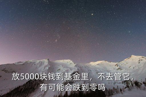 放5000塊錢到基金里，不去管它，有可能會跌到零嗎