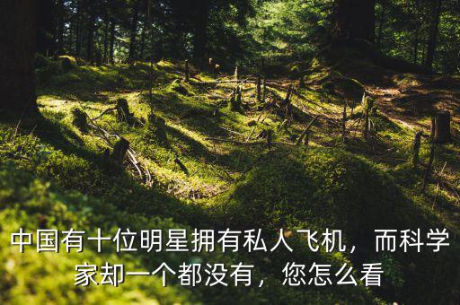 中國有十位明星擁有私人飛機(jī)，而科學(xué)家卻一個(gè)都沒有，您怎么看