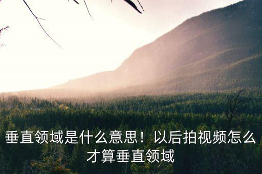 垂直領域是什么意思！以后拍視頻怎么才算垂直領域