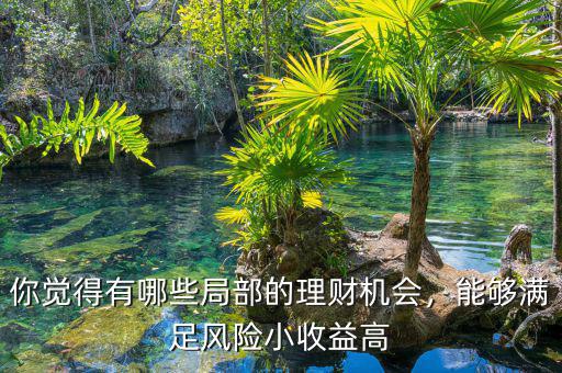你覺得有哪些局部的理財機會，能夠滿足風(fēng)險小收益高