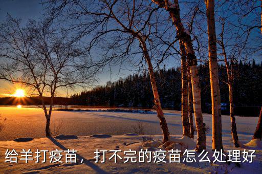 給羊打疫苗，打不完的疫苗怎么處理好