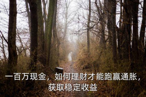 一百萬現(xiàn)金，如何理財才能跑贏通脹，獲取穩(wěn)定收益
