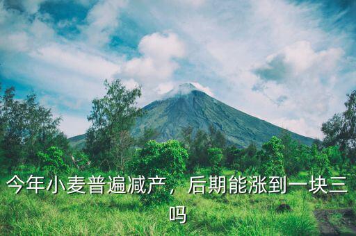 今年小麥普遍減產(chǎn)，后期能漲到一塊三嗎