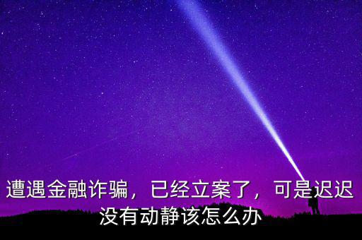 遭遇金融詐騙，已經(jīng)立案了，可是遲遲沒有動靜該怎么辦