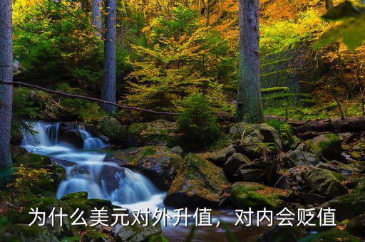 為什么美元對(duì)外升值，對(duì)內(nèi)會(huì)貶值