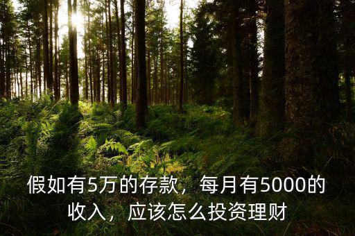 假如有5萬的存款，每月有5000的收入，應(yīng)該怎么投資理財