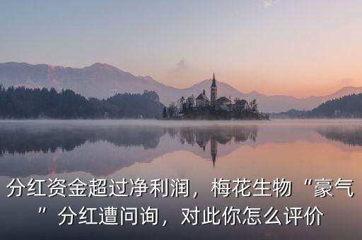 分紅資金超過凈利潤(rùn)，梅花生物“豪氣”分紅遭問詢，對(duì)此你怎么評(píng)價(jià)
