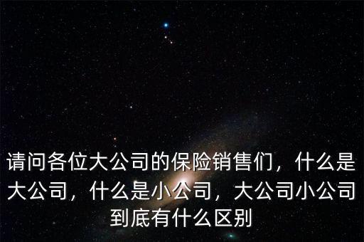 請問各位大公司的保險銷售們，什么是大公司，什么是小公司，大公司小公司到底有什么區(qū)別
