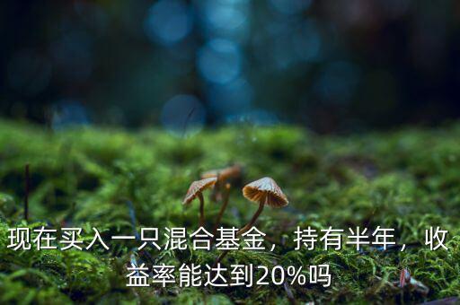 現(xiàn)在買入一只混合基金，持有半年，收益率能達到20%嗎