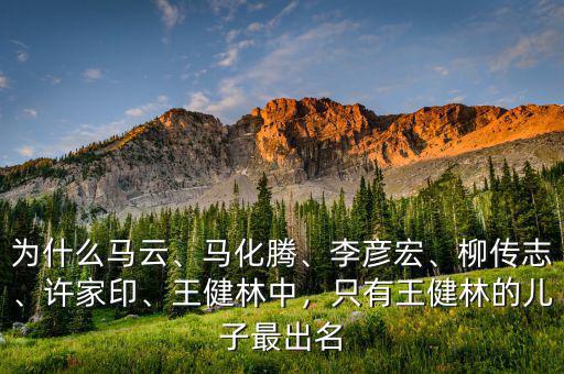 為什么馬云、馬化騰、李彥宏、柳傳志、許家印、王健林中，只有王健林的兒子最出名