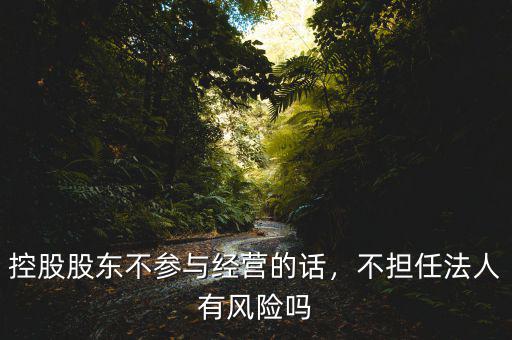 控股股東不參與經(jīng)營的話，不擔(dān)任法人有風(fēng)險嗎