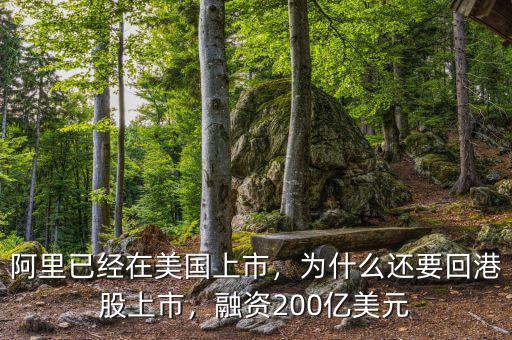 阿里已經(jīng)在美國(guó)上市，為什么還要回港股上市，融資200億美元