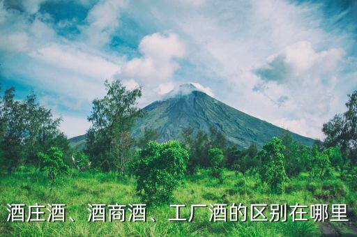 酒莊酒、酒商酒、工廠酒的區(qū)別在哪里