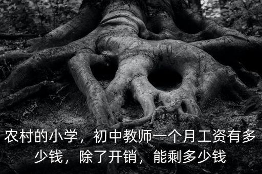 農(nóng)村的小學(xué)，初中教師一個(gè)月工資有多少錢(qián)，除了開(kāi)銷(xiāo)，能剩多少錢(qián)