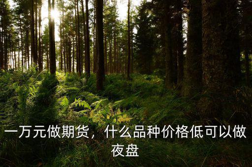 一萬(wàn)元做期貨，什么品種價(jià)格低可以做夜盤