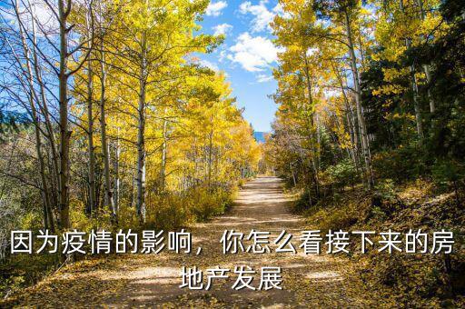 因為疫情的影響，你怎么看接下來的房地產(chǎn)發(fā)展
