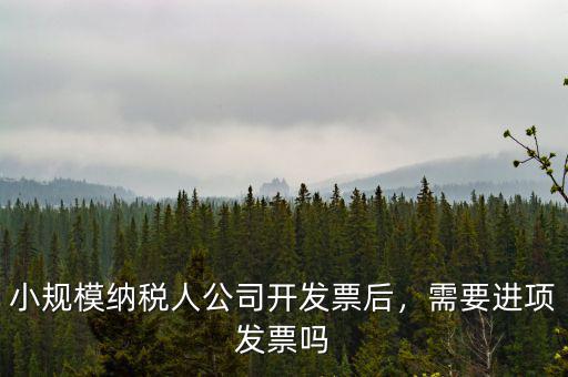 小規(guī)模納稅人公司開發(fā)票后，需要進(jìn)項(xiàng)發(fā)票嗎