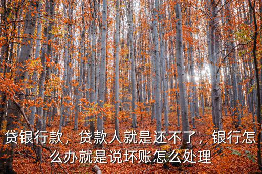 貸銀行款，貸款人就是還不了，銀行怎么辦就是說壞賬怎么處理