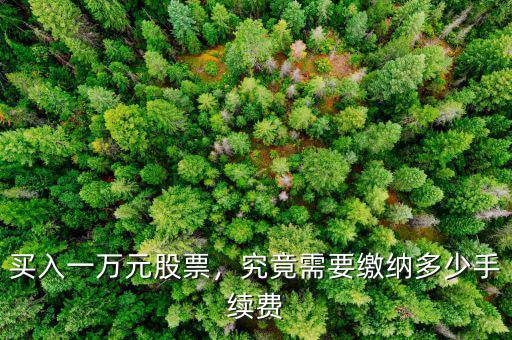 買(mǎi)入一萬(wàn)元股票，究竟需要繳納多少手續(xù)費(fèi)