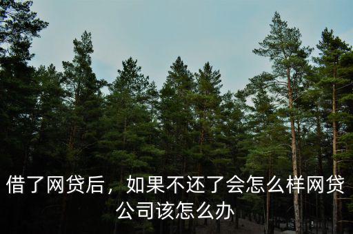 借了網(wǎng)貸后，如果不還了會(huì)怎么樣網(wǎng)貸公司該怎么辦