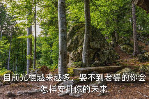 目前光棍越來(lái)越多，娶不到老婆的你會(huì)怎樣安排你的未來(lái)