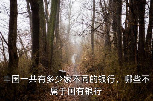 中國(guó)一共有多少家不同的銀行，哪些不屬于國(guó)有銀行
