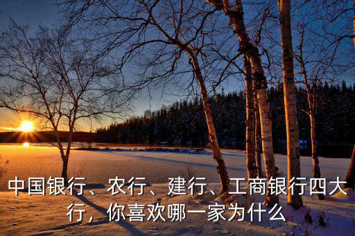 中國銀行、農(nóng)行、建行、工商銀行四大行，你喜歡哪一家為什么