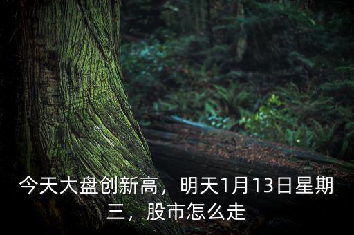今天大盤創(chuàng)新高，明天1月13日星期三，股市怎么走