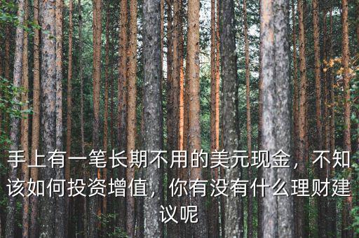 手上有一筆長期不用的美元現(xiàn)金，不知該如何投資增值，你有沒有什么理財建議呢