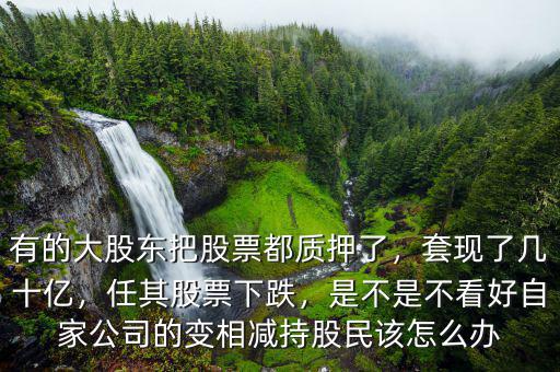 有的大股東把股票都質(zhì)押了，套現(xiàn)了幾十億，任其股票下跌，是不是不看好自家公司的變相減持股民該怎么辦