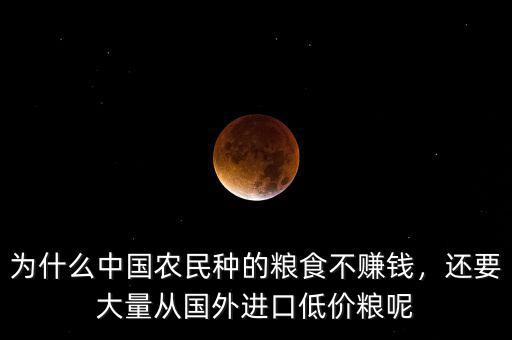 為什么中國農(nóng)民種的糧食不賺錢，還要大量從國外進口低價糧呢