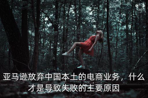 亞馬遜放棄中國本土的電商業(yè)務(wù)，什么才是導(dǎo)致失敗的主要原因