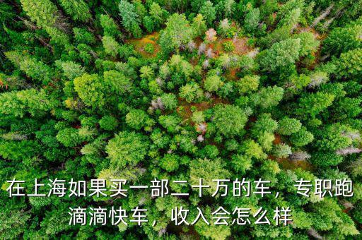 在上海如果買一部二十萬的車，專職跑滴滴快車，收入會怎么樣