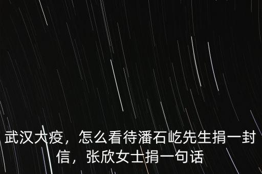 武漢大疫，怎么看待潘石屹先生捐一封信，張欣女士捐一句話