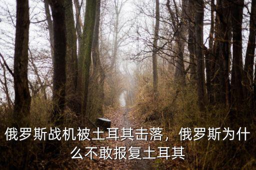 俄羅斯戰(zhàn)機(jī)被土耳其擊落，俄羅斯為什么不敢報(bào)復(fù)土耳其