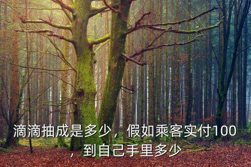 滴滴抽成是多少，假如乘客實(shí)付100，到自己手里多少