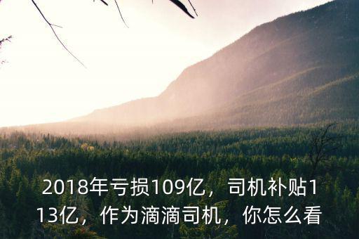 2018年虧損109億，司機(jī)補(bǔ)貼113億，作為滴滴司機(jī)，你怎么看