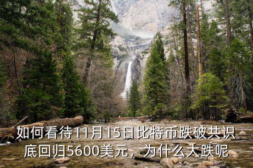 如何看待11月15日比特幣跌破共識底回歸5600美元，為什么大跌呢