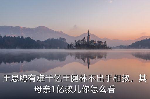王思聰有難千億王健林不出手相救，其母親1億救兒你怎么看