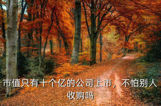 市值只有十個(gè)億的公司上市，不怕別人收購嗎