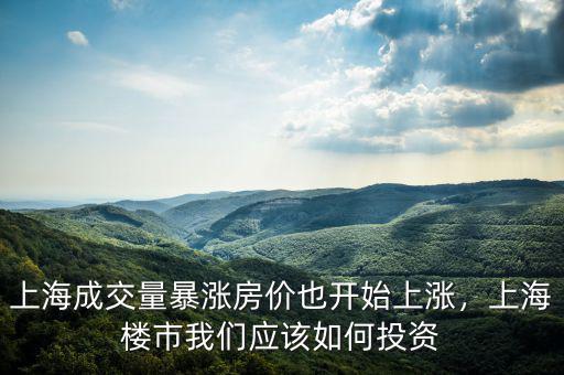 上海成交量暴漲房價也開始上漲，上海樓市我們應(yīng)該如何投資