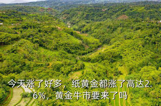 紙黃金什么時(shí)候漲到300,黃金價(jià)格一般什么時(shí)候會漲