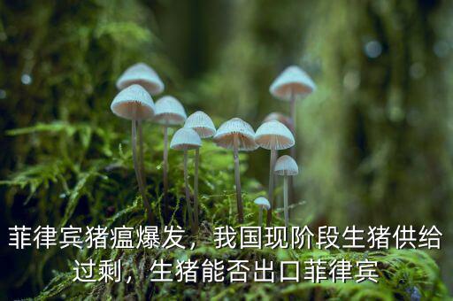 菲律賓豬瘟爆發(fā)，我國現(xiàn)階段生豬供給過剩，生豬能否出口菲律賓