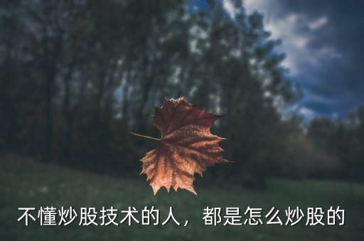 不懂炒股技術(shù)的人，都是怎么炒股的