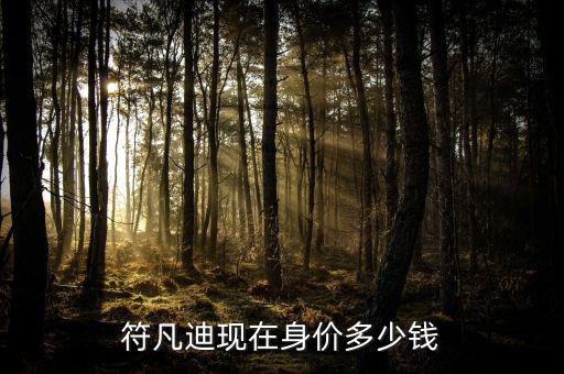鄧冠華身價(jià)多少,陳夢現(xiàn)在身價(jià)多少