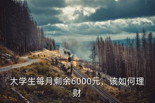 大學(xué)生每月剩余6000元，該如何理財(cái)