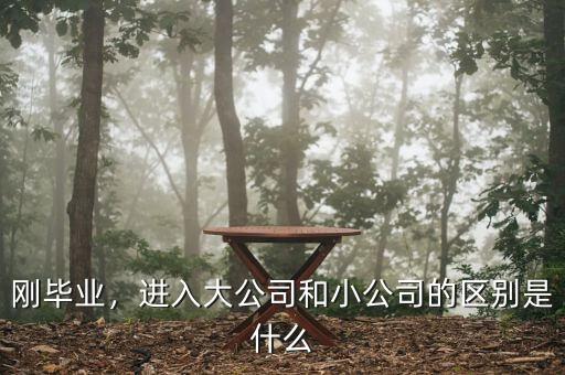 剛畢業(yè)，進(jìn)入大公司和小公司的區(qū)別是什么