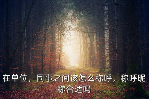 在單位，同事之間該怎么稱呼，稱呼昵稱合適嗎