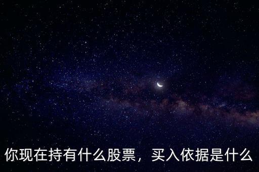 你現(xiàn)在持有什么股票，買入依據(jù)是什么